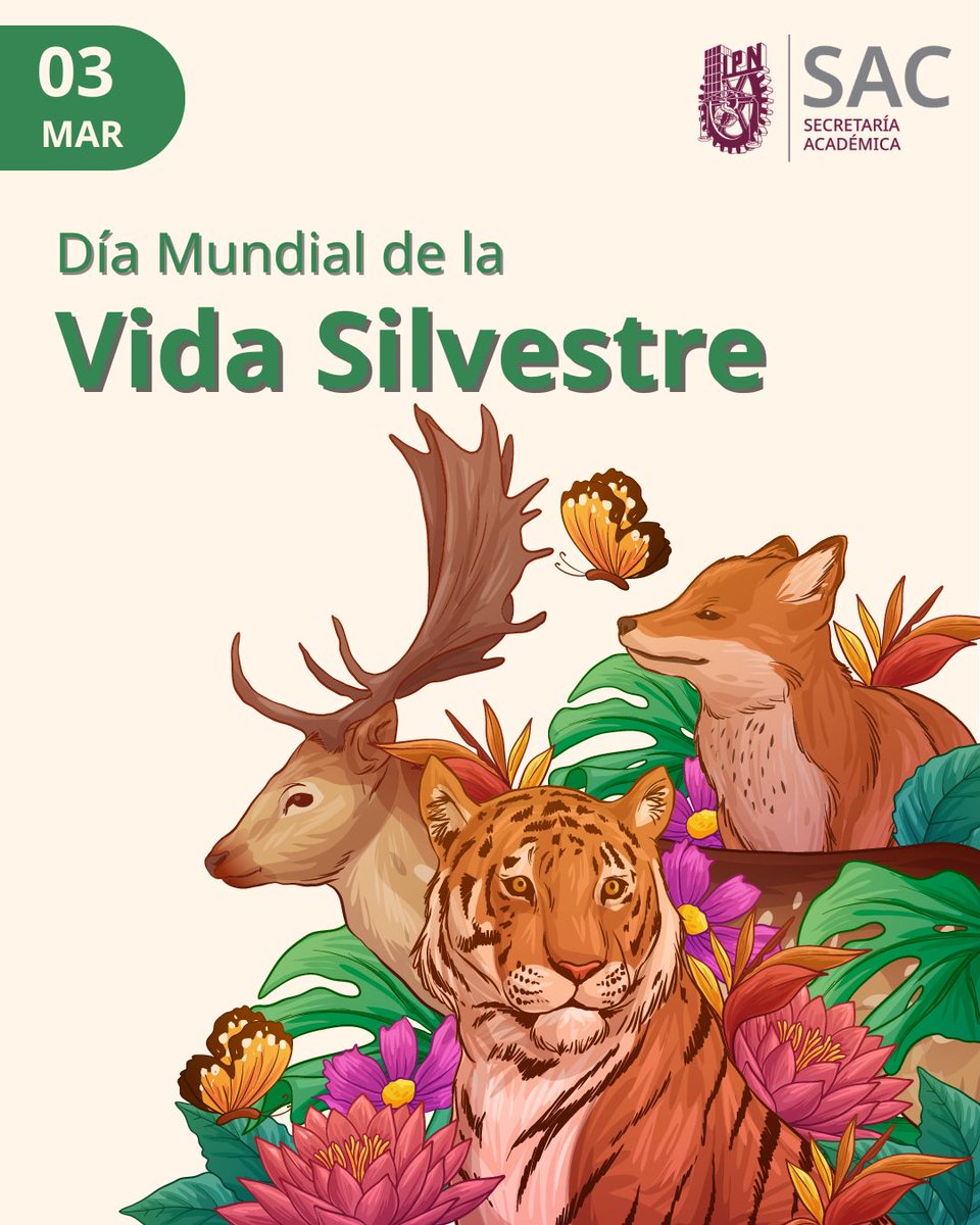 Secretaría Académica tweet media