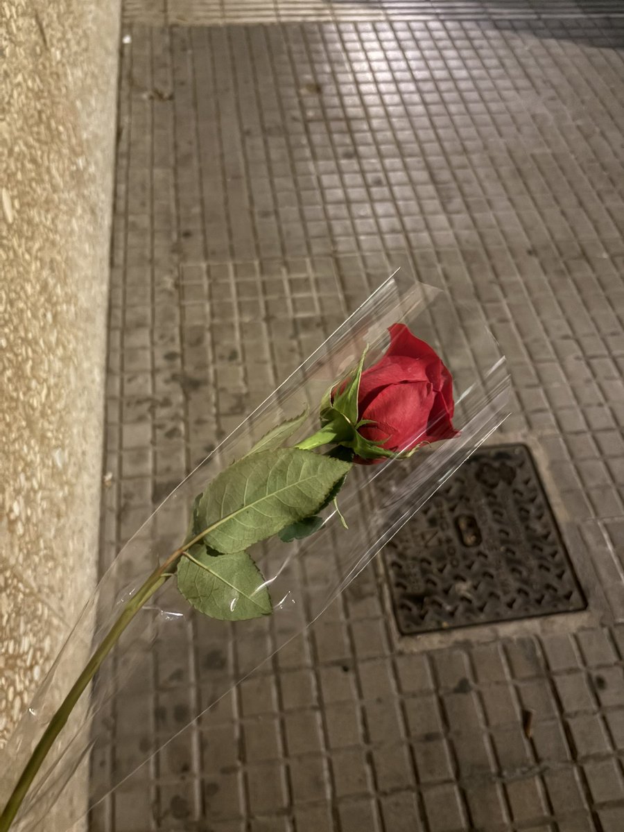 Pacho_fdm's tweet photo. a veces hay que comprarse una flor y seguir padelante https://t.co/xnN2DVDFcR