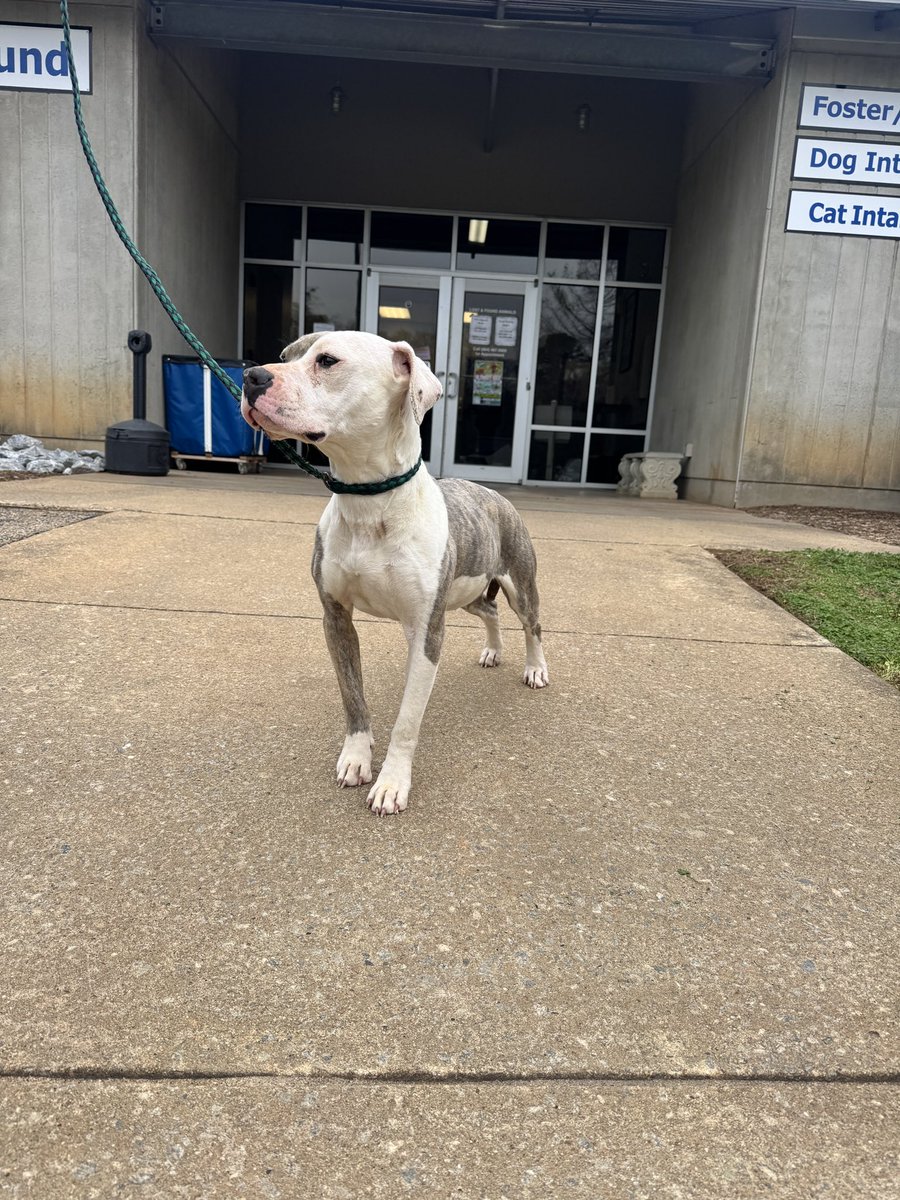 Pretty Lies & Alibis🎙 tweet media