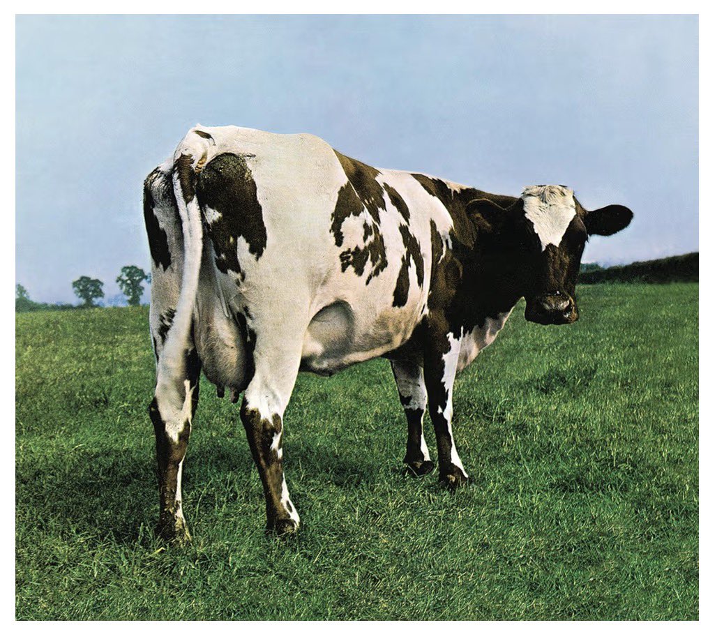 Ciro L@nzηttα tweet media