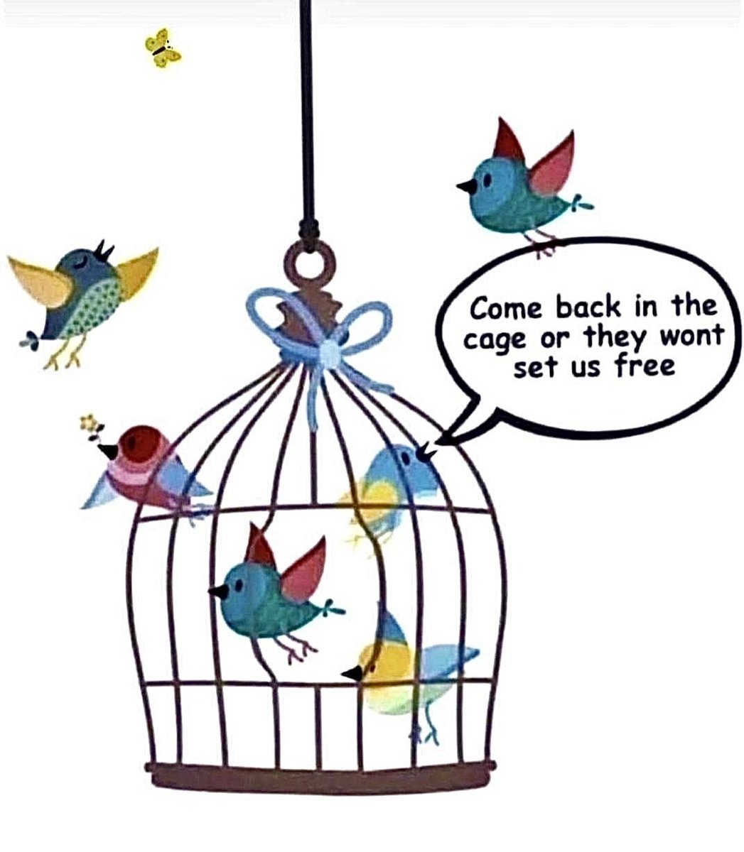 Giga Based Dad tweet media