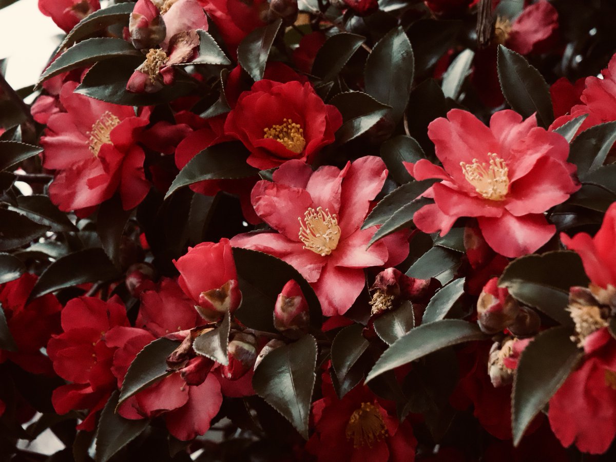 aki aki (@akiaki66697465) / Posts / X