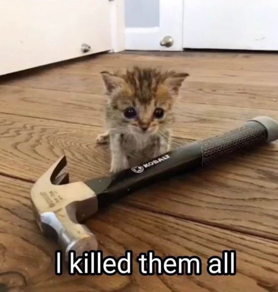 ₿ A L O tweet media