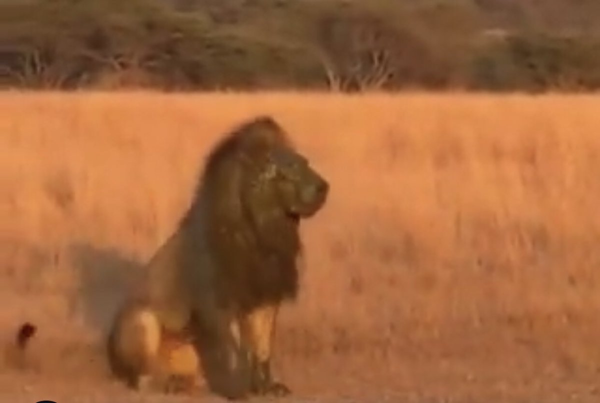 hashtro.fun tweet media