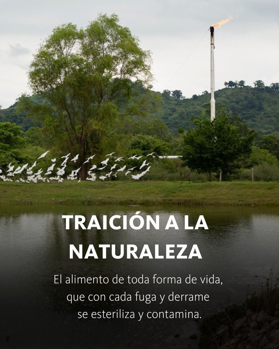 No Fracking Mx tweet media