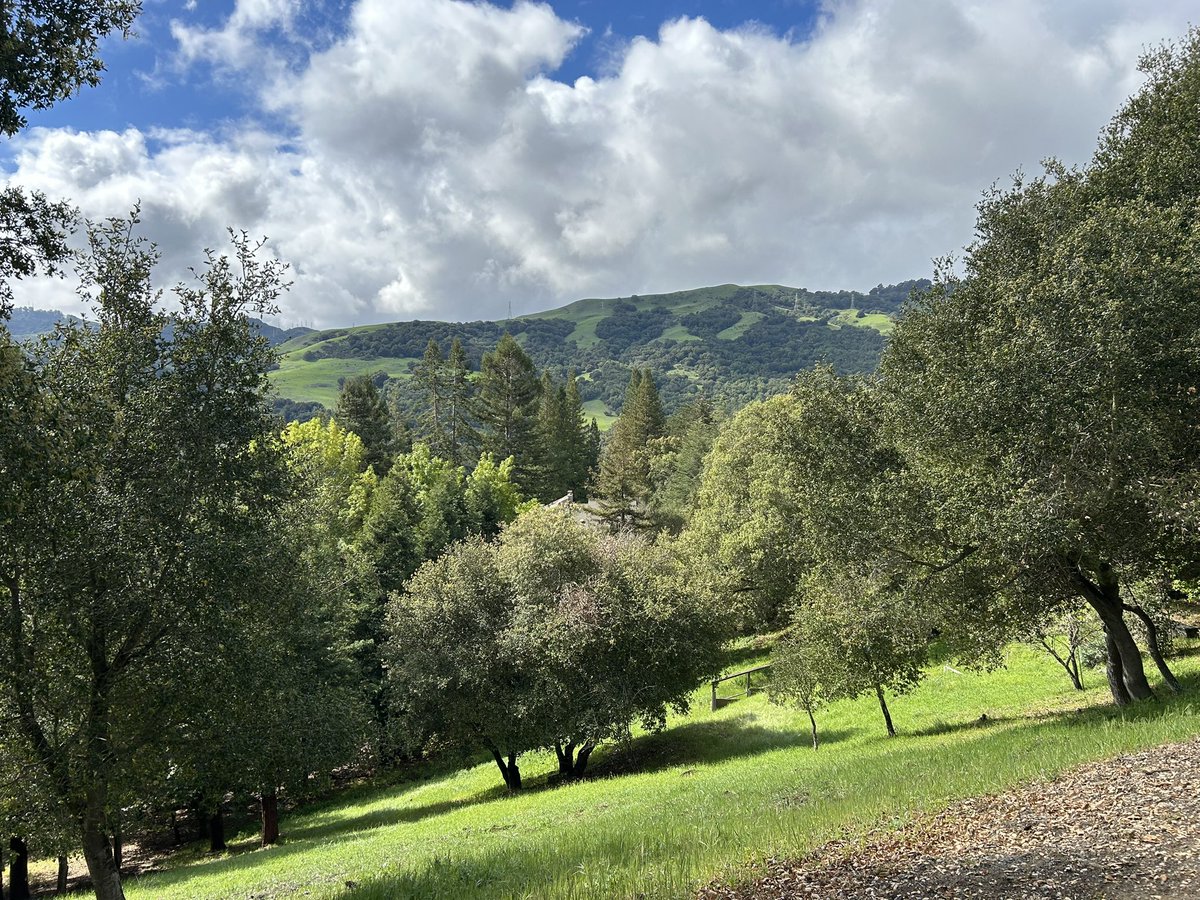 Today’s view while out walking