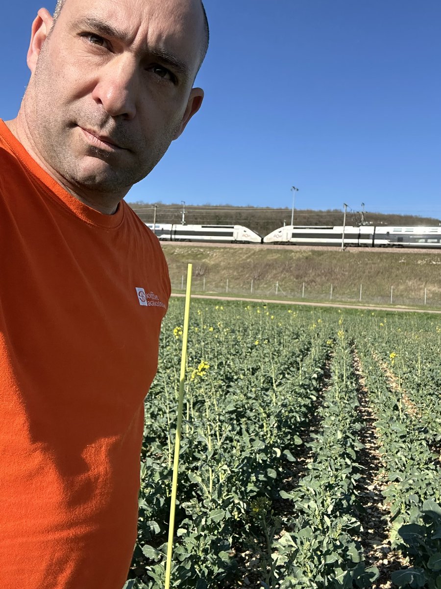 Emmanuel BONNIN tweet media