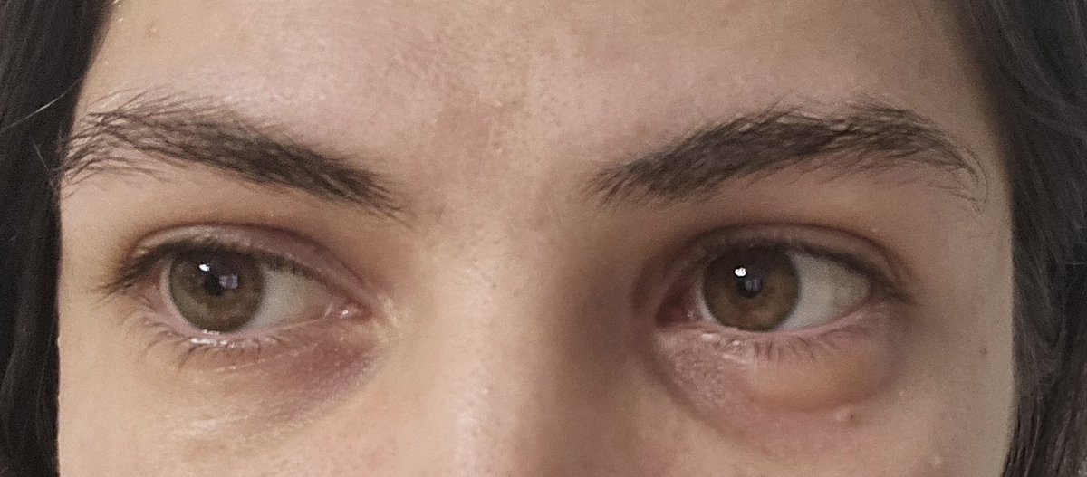 siilentium alive and breathing tweet media