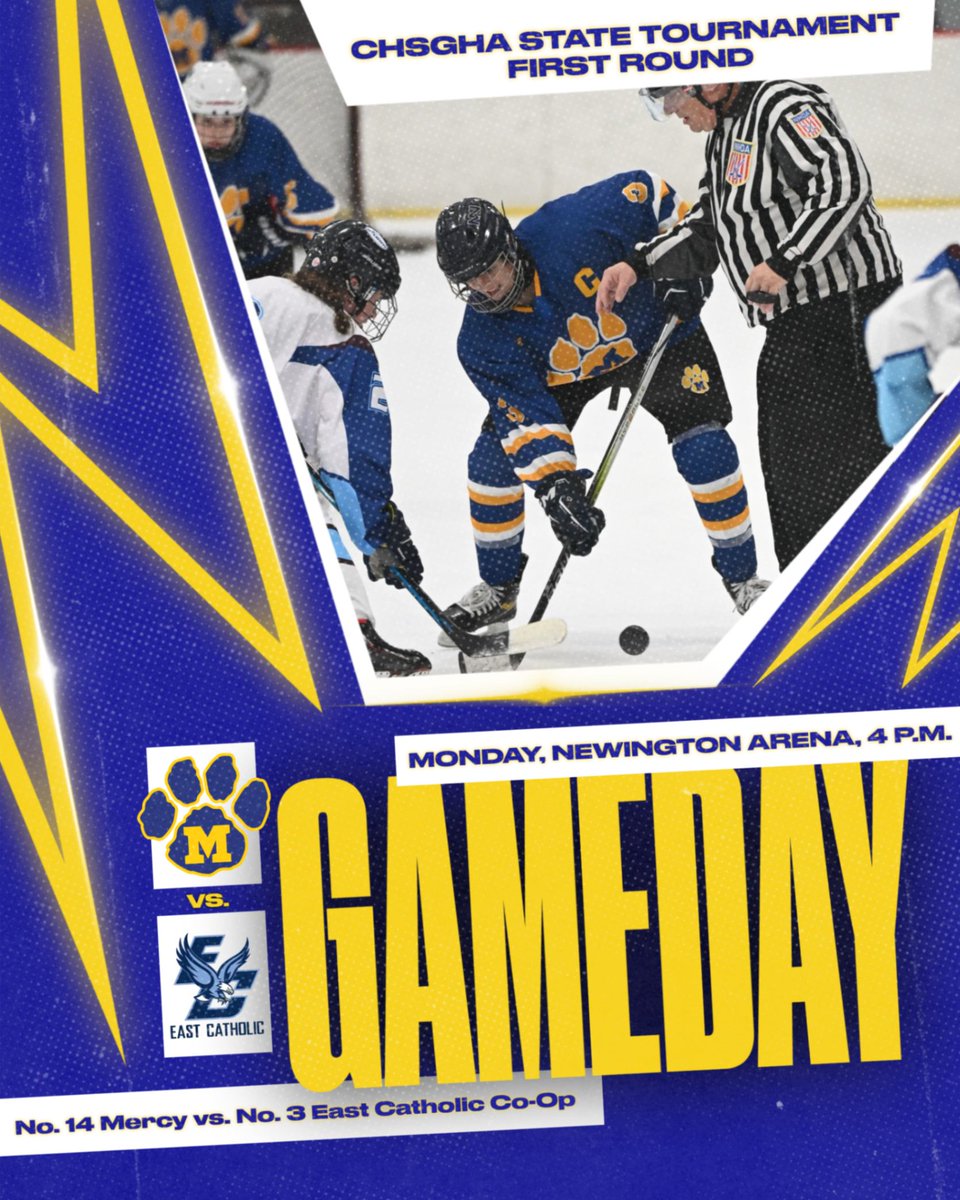 Mercy Tigers tweet media