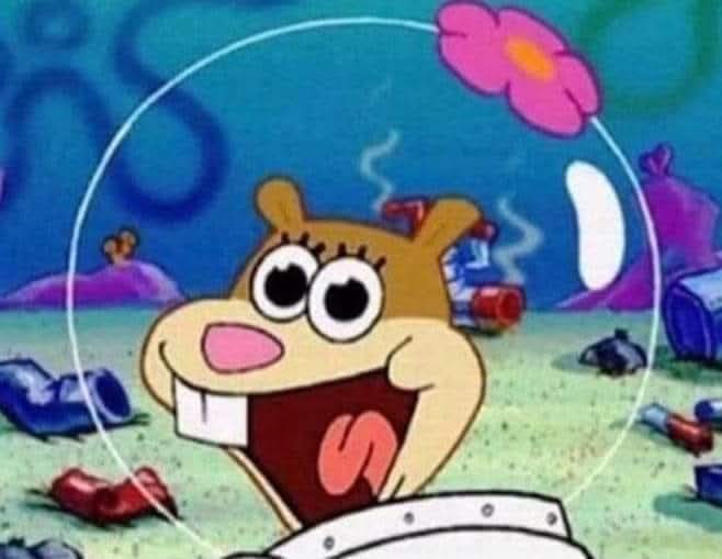 Agapornis04 (🔞) tweet media