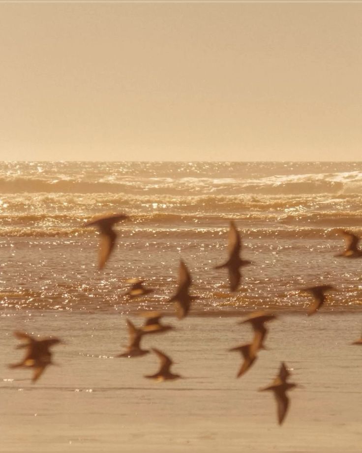 tangerine tweet media