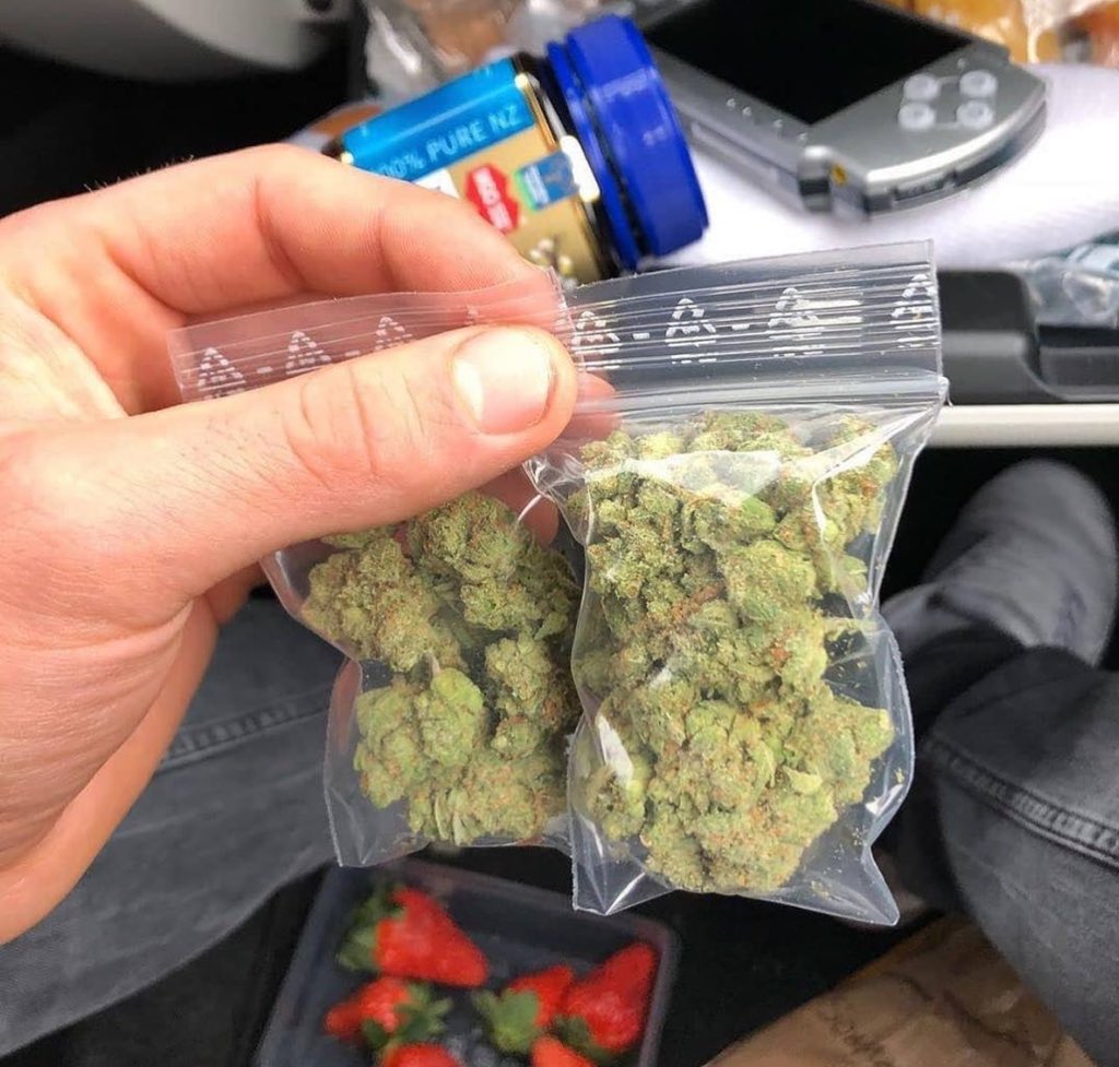 Cannabis Brasil tweet media
