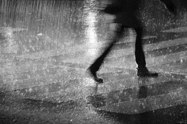 tangerine tweet media