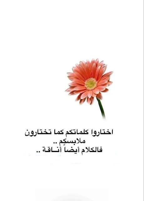 أناقة الكلمة أهم من أناقة اللبس
فأناقة اللبس يستطيعها الكثير وقد تبهرنا كثيراً
لكن أناقة الحرف والكلمة قليل من يتقنها فهي مفتاح القلوب🧡

#فضفضه 
#كلمة_ولو_جبر_خاطر 
#فضفض_بتغريده 
#رساله_اليوم