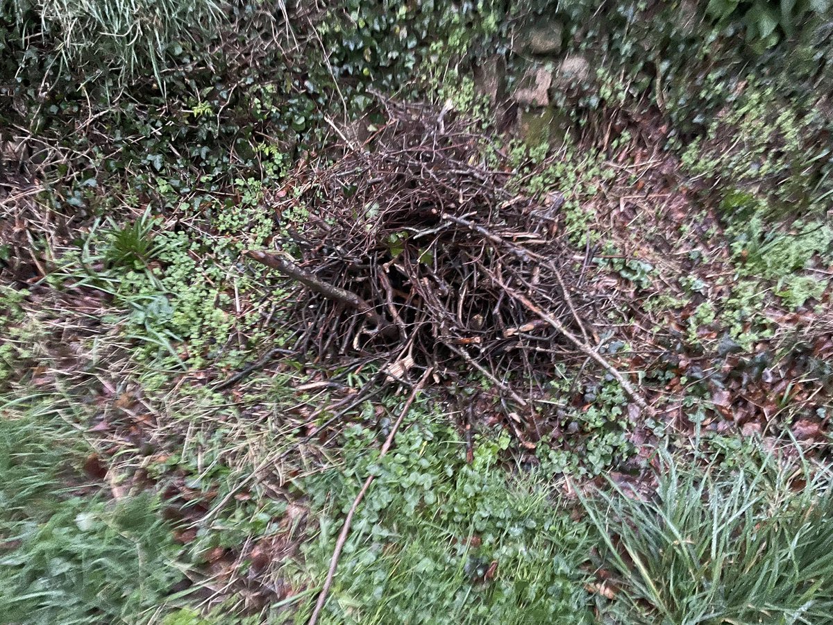 St Stephen AFC tweet media