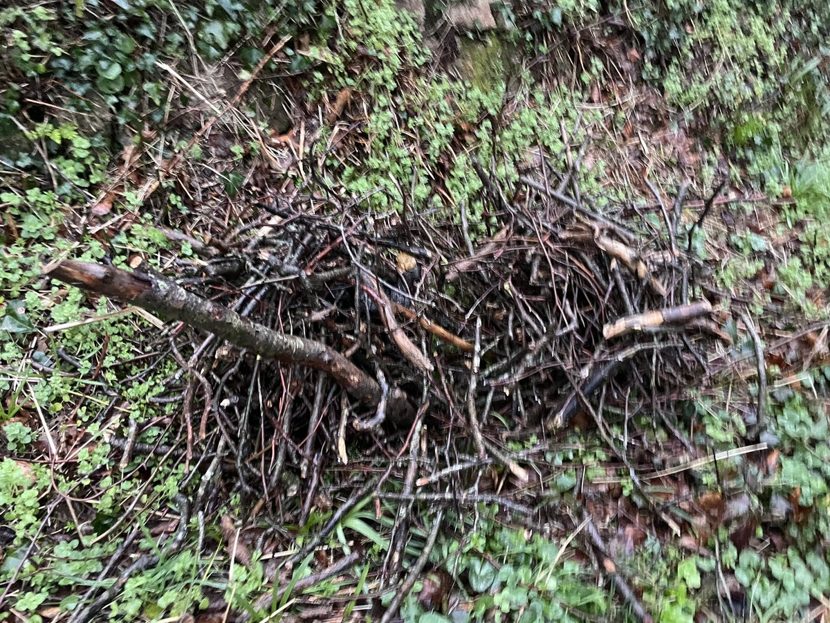 St Stephen AFC tweet media