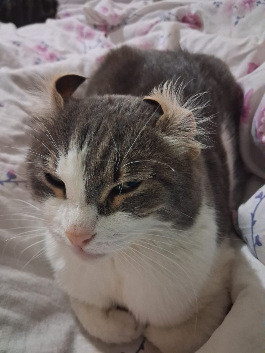 bizim güler yüzlülük