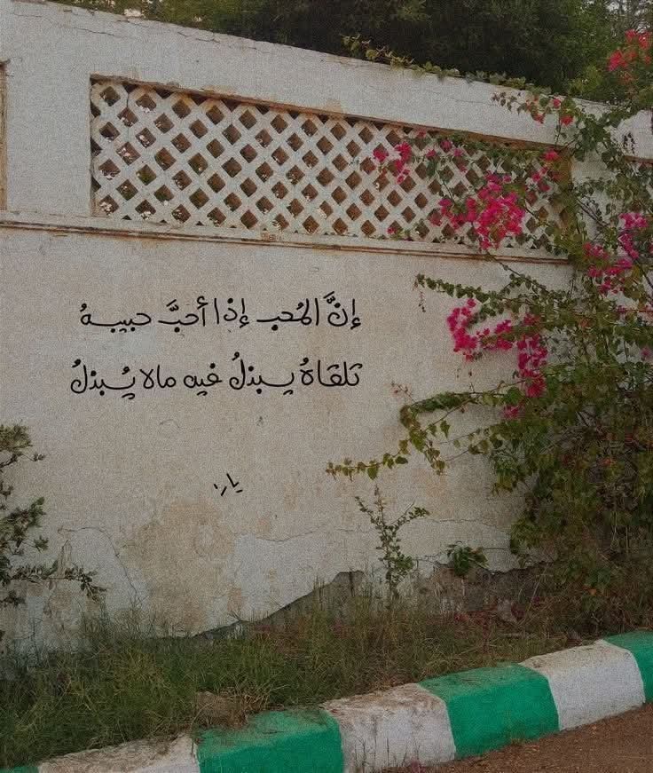 "إنّ المُحِبّ إذا أحبّ حبيبُه
تراهُ يبذُل فيهِ ما لا يُبذَلُ!"