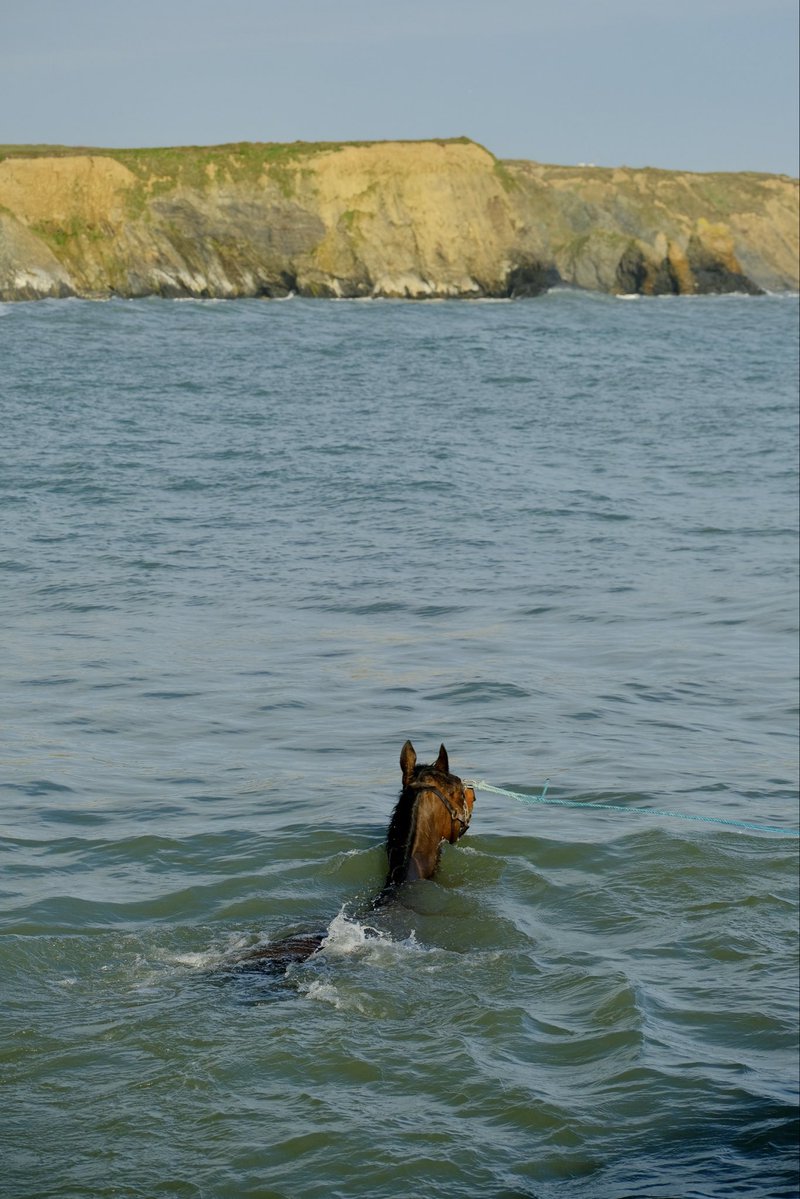 There are worse ways to end a Monday than with Quilixios and a swim in the sunshine…