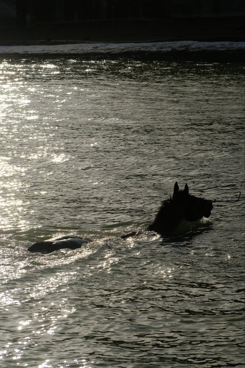 Henry de Bromhead tweet media