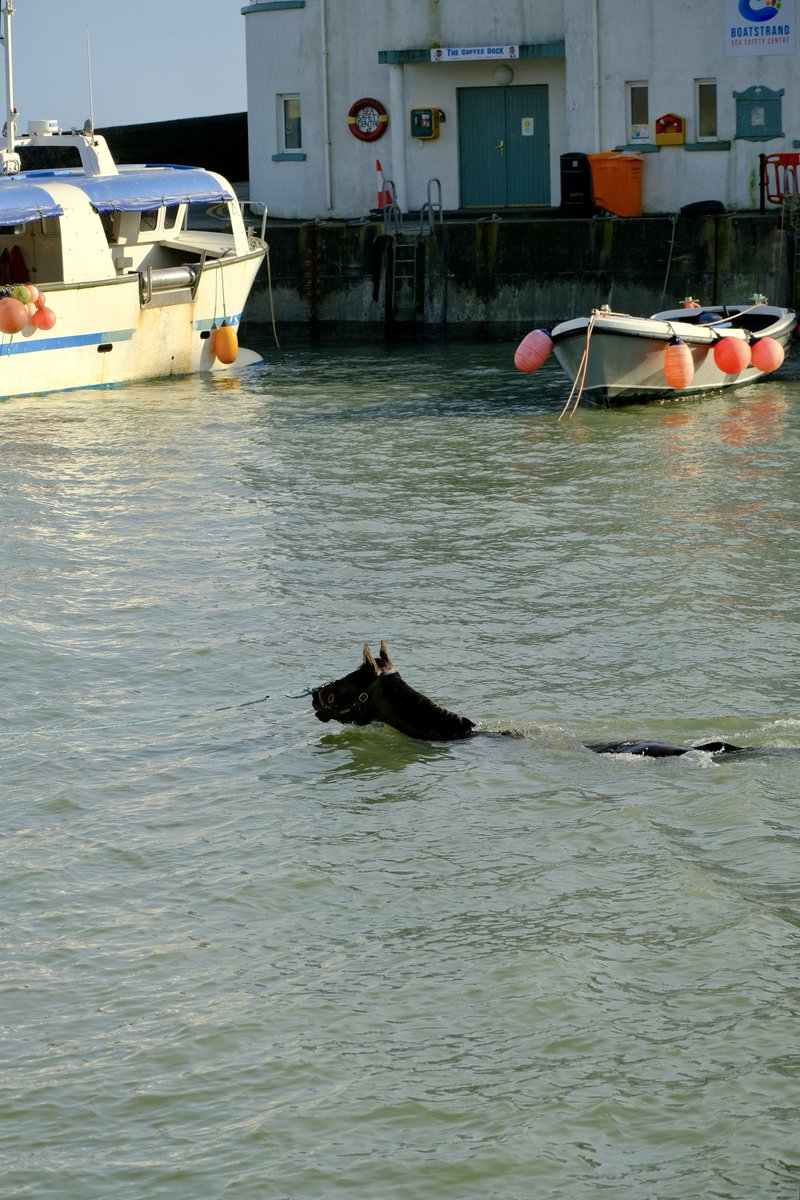 Henry de Bromhead tweet media
