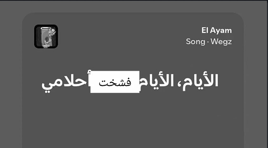 العنكبوت النونو خطفت قلبه عنكبوته tweet media