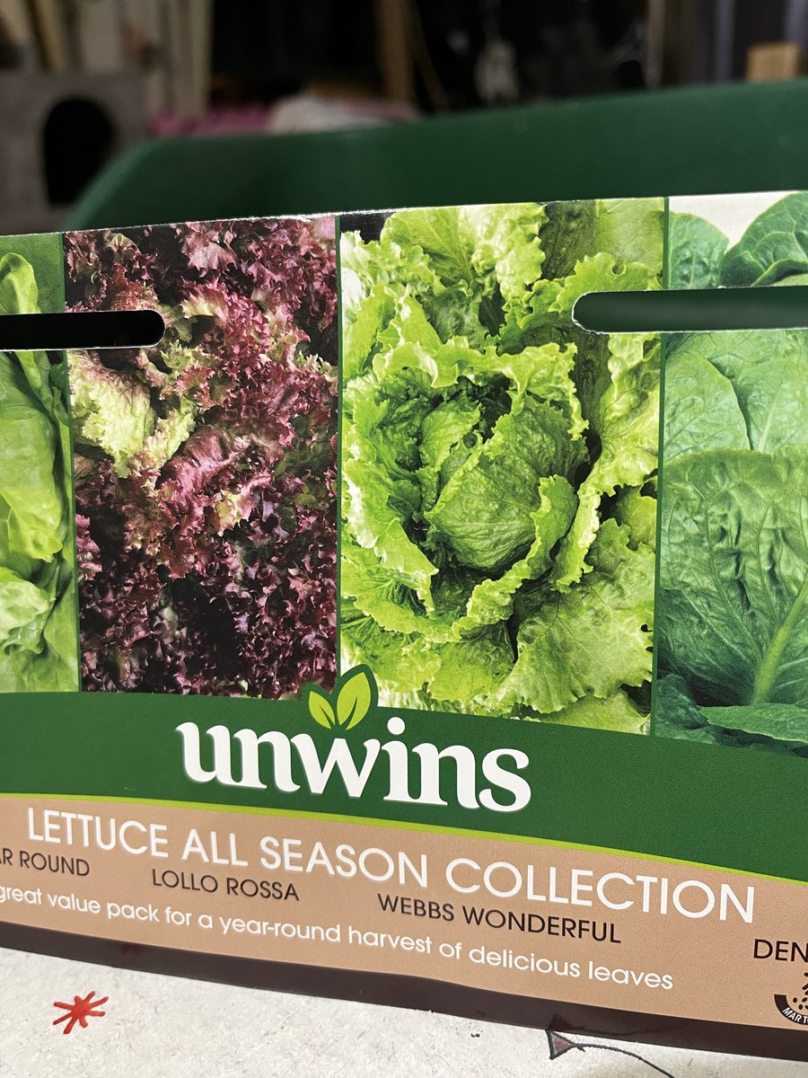 jonasdk89's tweet photo. Seems a bit weird to sow your lettuce seeds 30cm deep and only 10mm apart 🤔 @UnwinsSeeds https://t.co/Vx6hpsVoBW