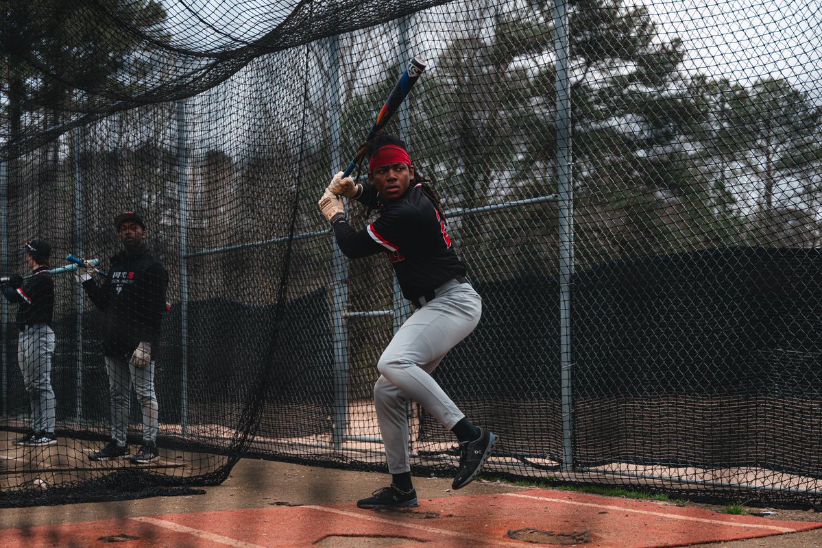 PRO5 Baseball Academy tweet media