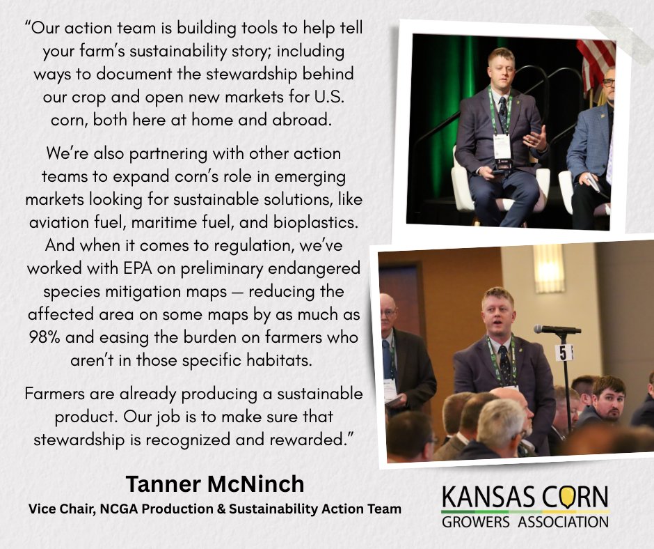 Kansas Corn tweet media