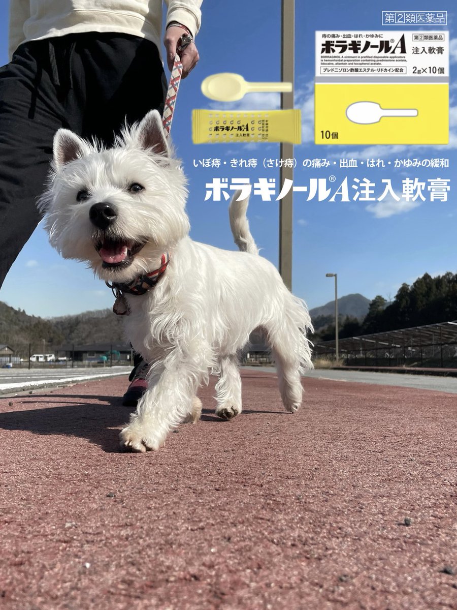 tao_westie's tweet photo. なんか1枚目の写真、よく見るとボラギノールみたいだ https://t.co/0y35kFCMZ4