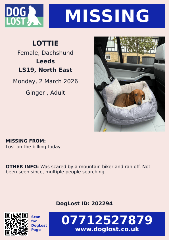 millypod1's tweet photo. π2 MAR 2026 #Lost Lottie #ScanMe
Dachshund Female #SausageArmy
Lost on the Billing today #LS19
County #Leeds #WestYorkshire #Yorkshire
Was scared by a mountain biker and ran off. Not been seen since, multiple people searching
https://t.co/WK1SlDwUfC https://t.co/MBmsr4uXTX