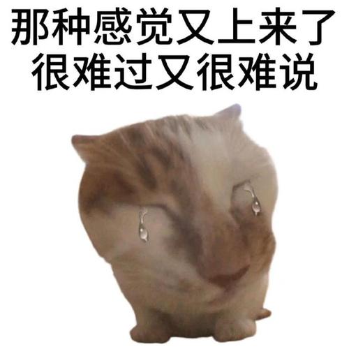 LOSTLOL3's tweet photo. @pleazdontleavme https://t.co/r9Y4iSHHu4