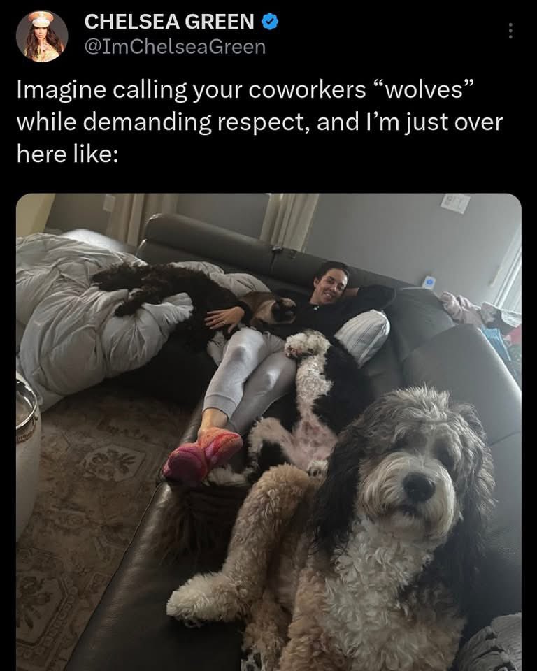 onikabankz's tweet photo. For those who don’t know the “lore” these messy hoes BEEN tryna poke at jade since she came. She had a PROMO and Chelsea & Nia felt hit & came to Twitter to mock her for it. Now that Rhea & Jade have had their back and forth tweets Chelsea once AGAIN tries to throw rocks & hide her hands to make Jade look crazy and her lap dog that needs to run a few more LAPS is right behind her. Chelsea & Nia have also been allegedly known to spill insider tea to news outlets.