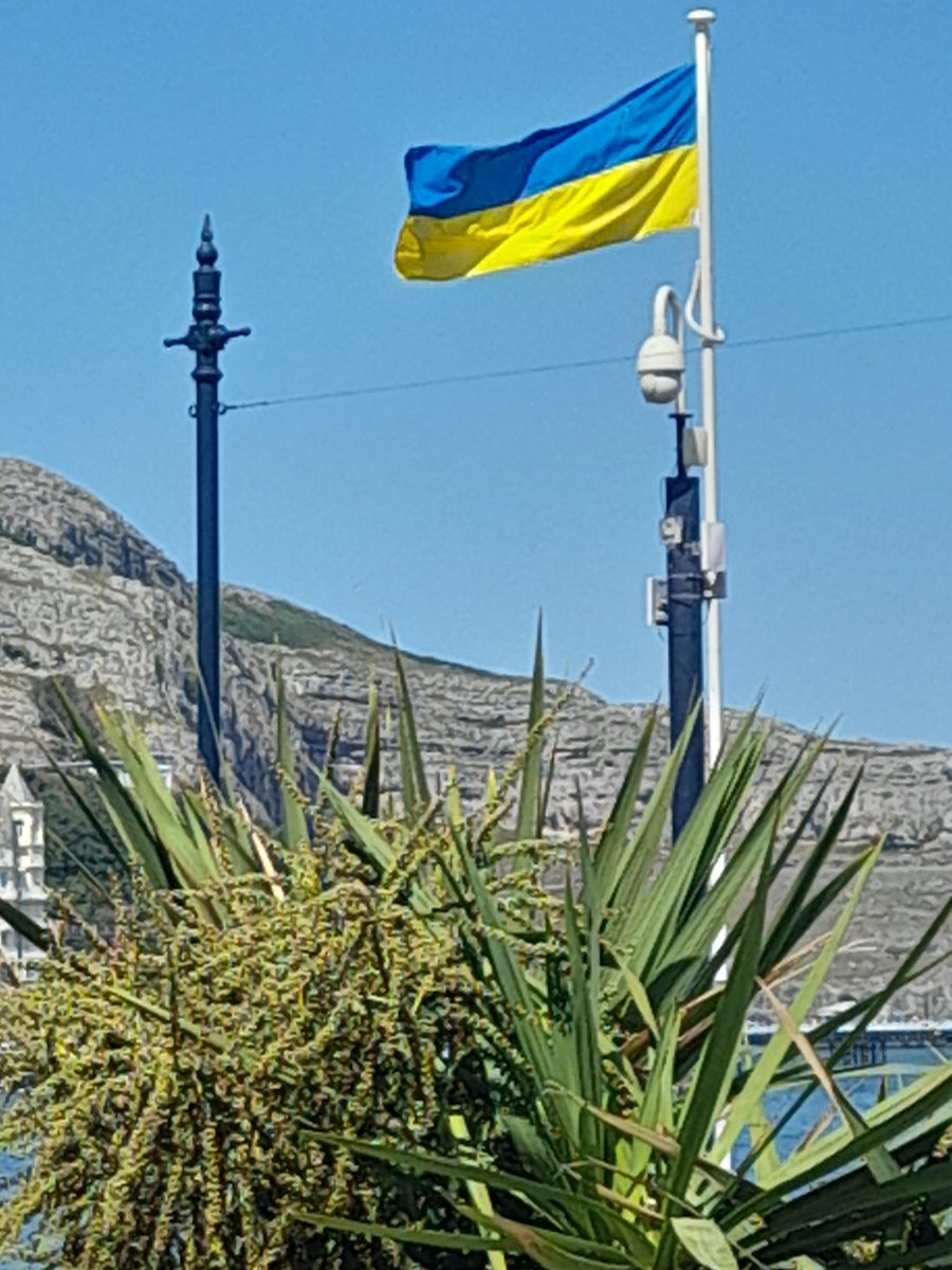 Please do not forget Ukraine 💙💛