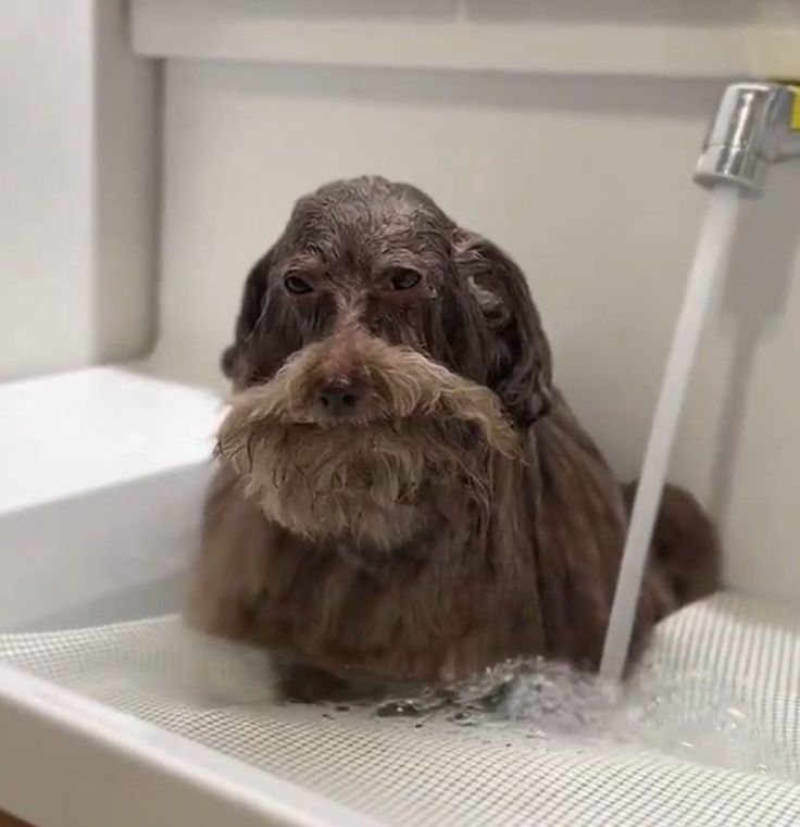 Cuando sabes que esta mintiendo pero no puedes comprobarlo