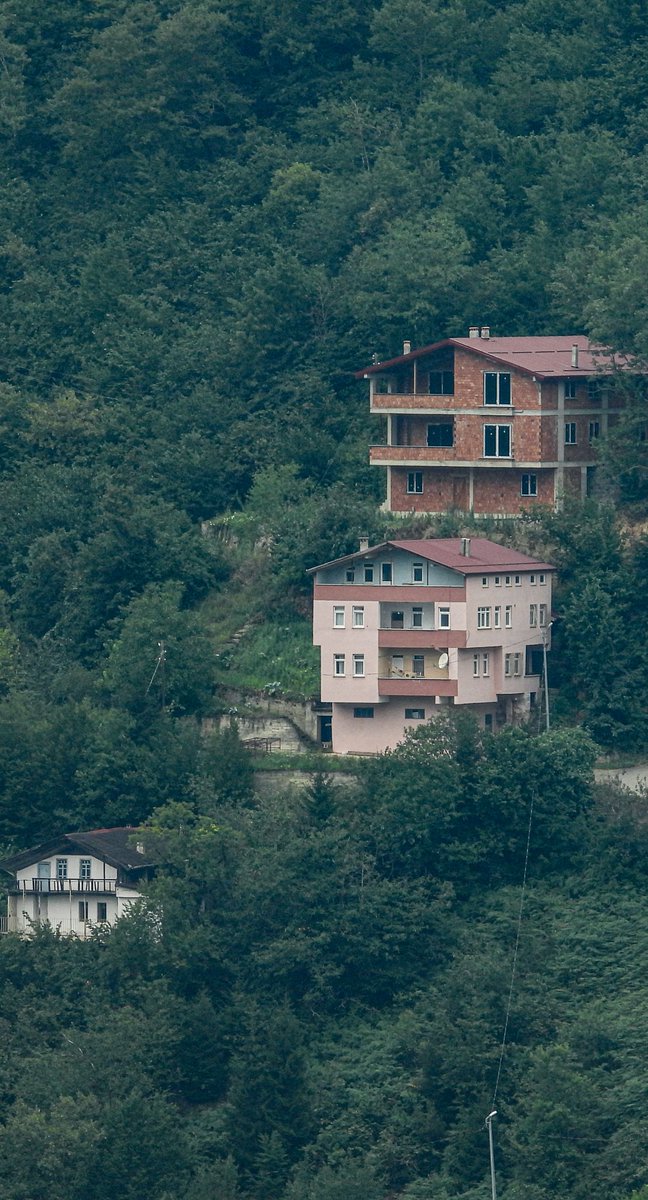 Her şeyi unutacaksın, her şey de seni...

Eski ev özgür, yeni ev esir .

▫️Trabzon