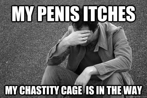 lukasreid92's tweet photo. 🚨Chastity Contract🚨

Does anyone have a cage contract they’d be willing to share for reference? Keyholder has asked me to formalize a contract for him to review after 318 days locked 🔒

Thanks Twitter! 

@KINK3Ddesigns @MrSLeather @gaychastity https://t.co/mzx2s0lTnu