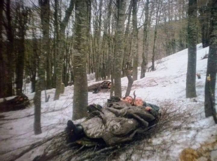 Милан Кнежевић tweet media