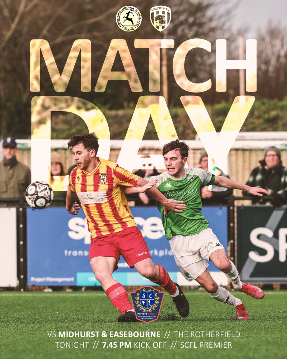 Lingfield FC ⚽️ tweet media