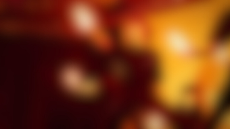 Wotagei USA tweet media