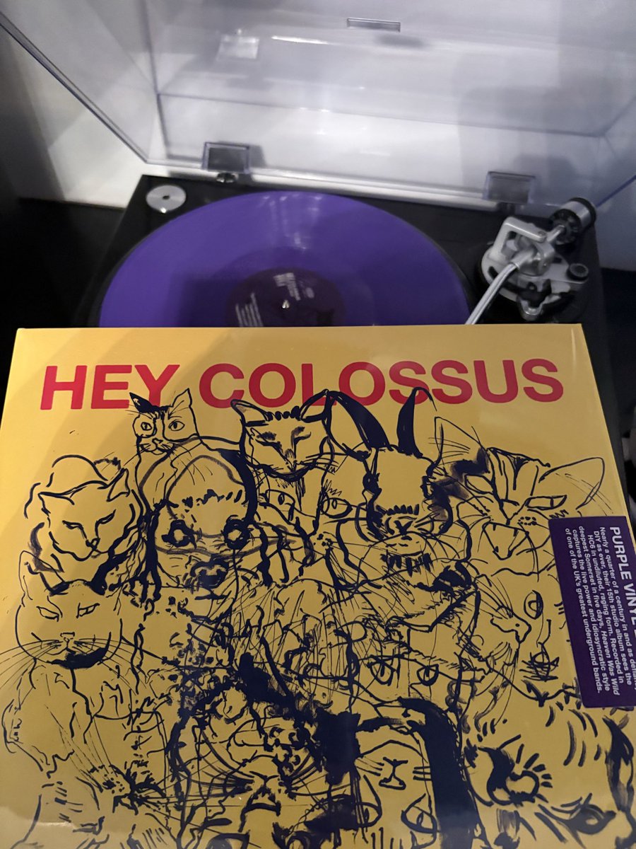 gallopingpongwi's tweet image. New @HeyColossus record is tremendous @XeaglepissX  #wrongspeedrecords