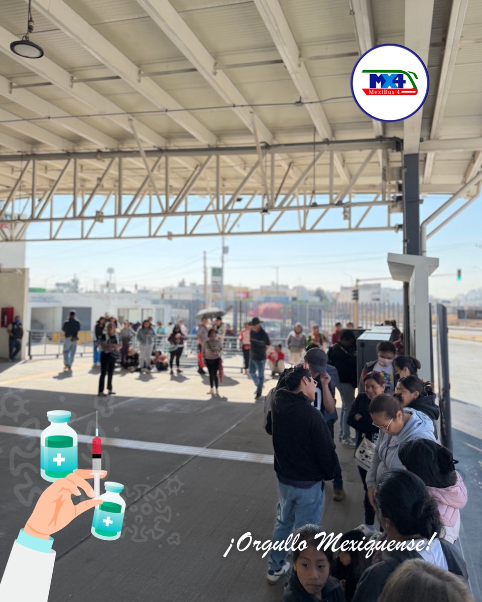 Mexibus 4 tweet media