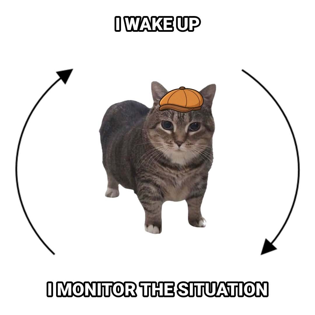 Oiia monitoring the situation