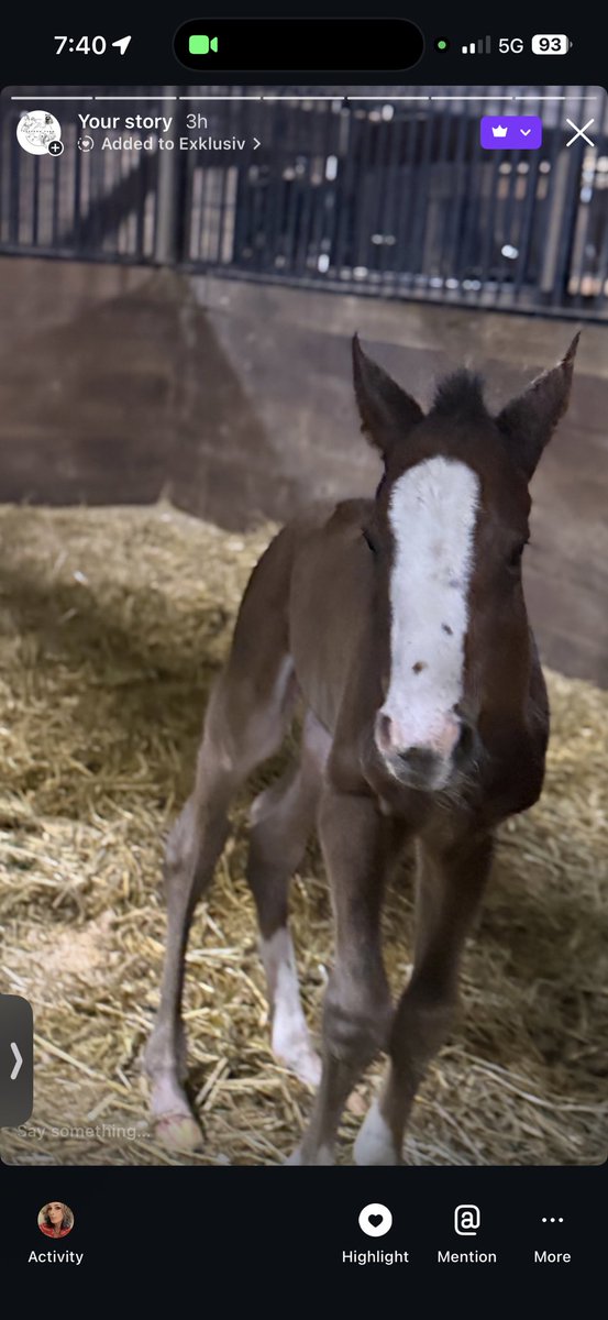 Squirrel_Dad tweet media
