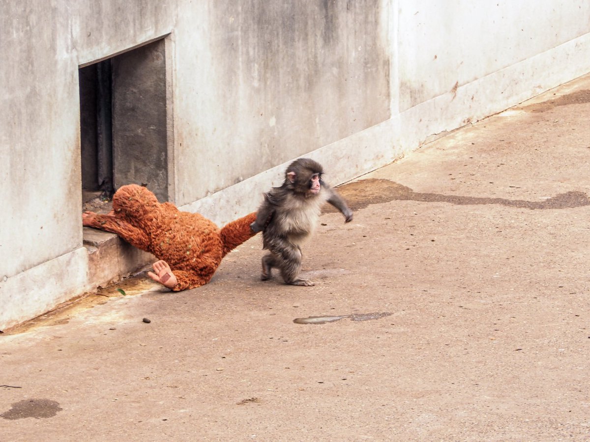 robbyroc tweet media