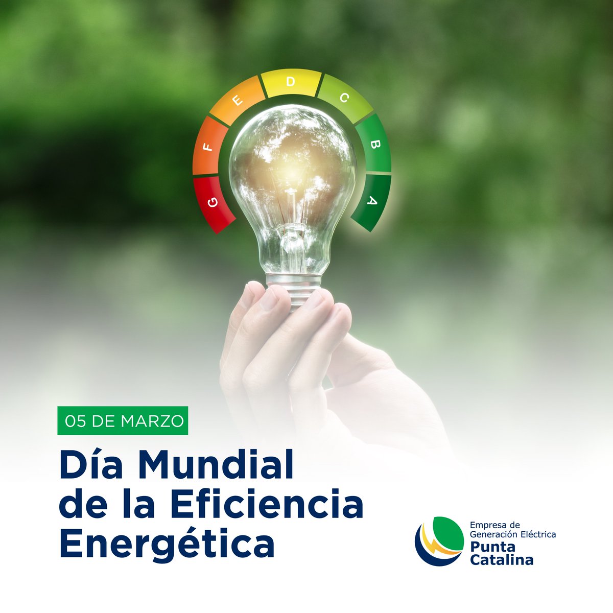 Empresa de Generación Eléctrica Punta Catalina tweet media