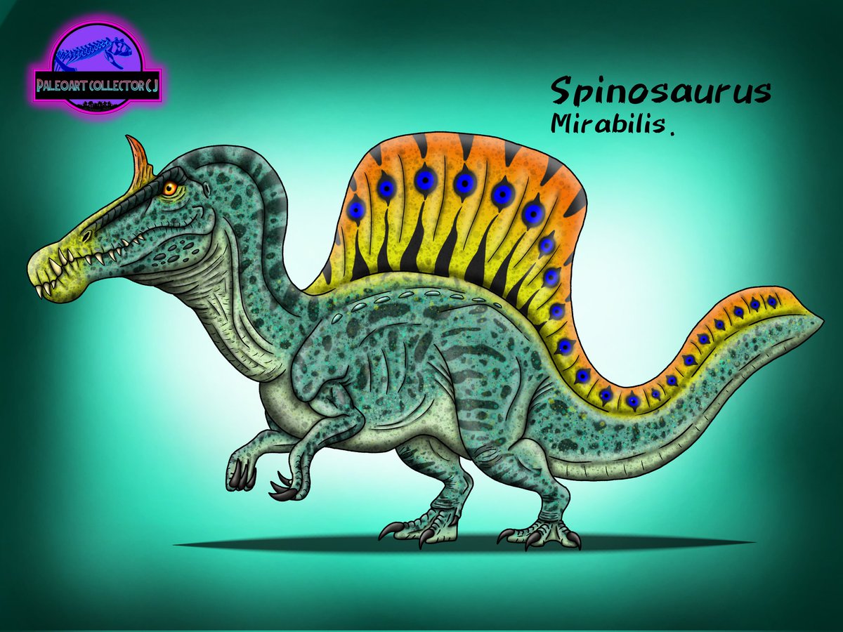 CPaleoart's tweet photo. Spinosaurus Mirabilis full body, I hope you like it.  

#spinosaurus #spinosaurusmirabilis #paleoart
#art #dinosaur #Dinoart #fanart https://t.co/5R0ryUW3OM