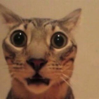 vic 🌼 tweet media