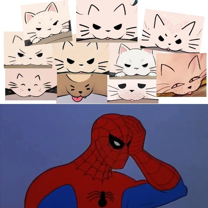 meobelngungoc tweet media