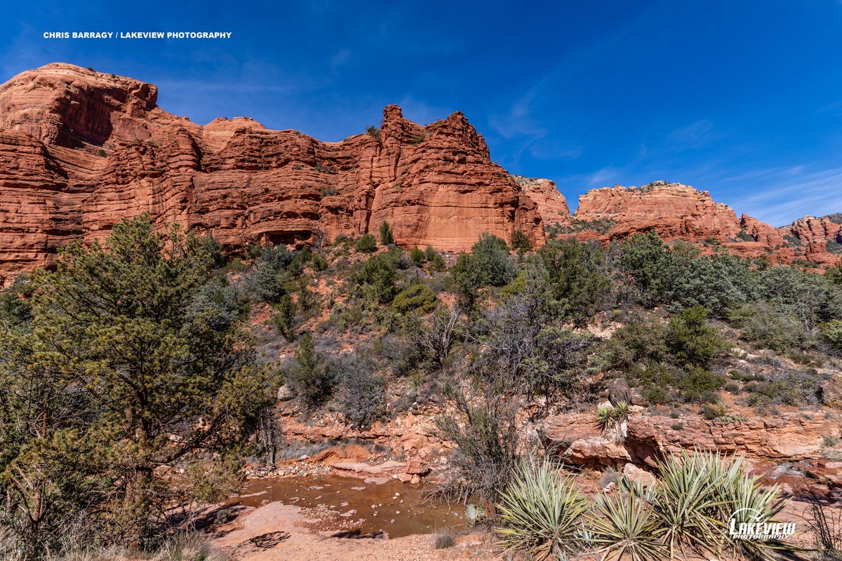 Lakeview Photography tweet media